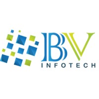 BV InfoTech Pvt. Ltd. Logo