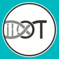 Optimum Transformation Logo