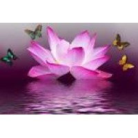 Lotus Life Yoga Logo
