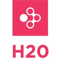 Stichting H20 Logo