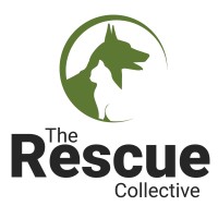 The Rescue Collective Logo
