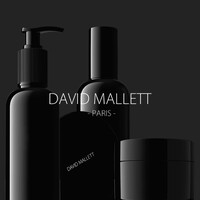 DAVID MALLETT HAIRCARE Logo