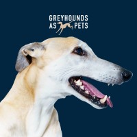Greyhounds as Pets NZ Logo
