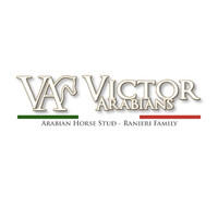 Victor Arabians Logo