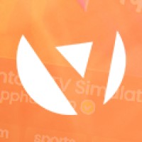 VIMM Logo