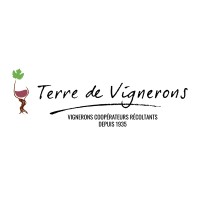 Terre de Vignerons Logo