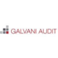Galvani Audit Srl Logo