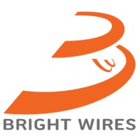 BRIGHT WIRES COMPANY Logo