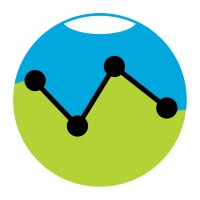 Datascout International Logo