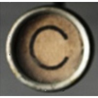 Chahinian Career Services Logo