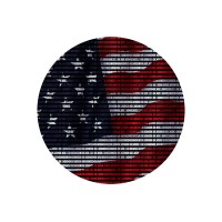 VOIS Services, Inc. Logo