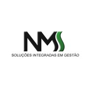 NMS Soluções Integradas em Gestão Logo