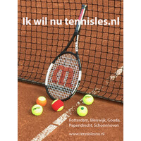 Tennislesnu.nl Logo