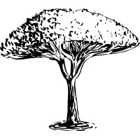 Arbul Logo