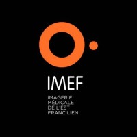 SELAS IMEF Logo