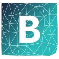 Blake Life and Risk Logo