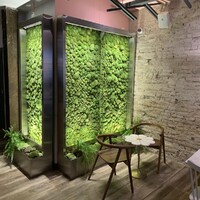 LIVE Moss Wellness Walls - Indoors & Out Logo