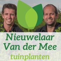 NieuwelaarVanderMee Logo