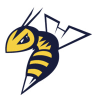 Edmonton Stingers Logo