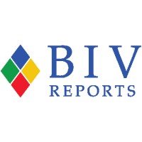 BIV Reports Pty Limited Logo