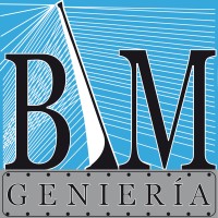 BIMgenieria Logo