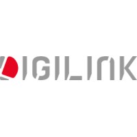 Digilink Media Group Logo