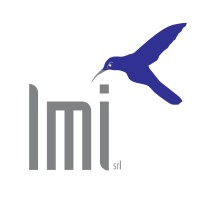 LMI srl Logo