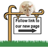 Rat Genome Database Logo