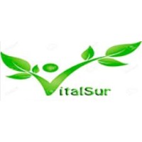 VitalSur Logo