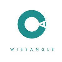 Wise Angle Logo