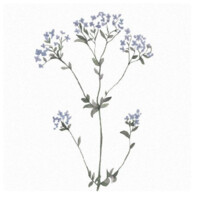 Susannah Lee Cutler Logo