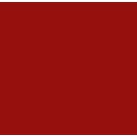 estudio DIIR Logo