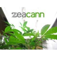 Zeacann Logo