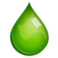 Paulex Environmental Logo