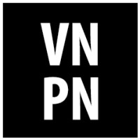 Vietnamese Professionals Network in the US - VNPN Logo
