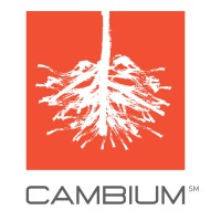 Cambium Group Logo