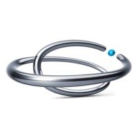 Platinum PMO Consulting Logo
