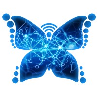 Indina-Consulting Innovation Academy in Silicon Valley Logo