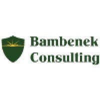 Bambenek Consulting, LTD Logo