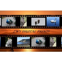 ZWs Digital Prints Logo