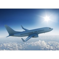 Independent Travel Consultant Logo