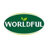 Changsha Worldful Logo