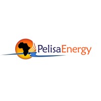 Pelisa Energy Logo