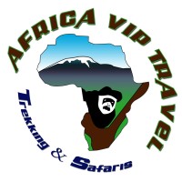 Africa VIP Travel Logo