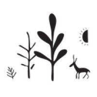 Maple Jude & Co. Logo