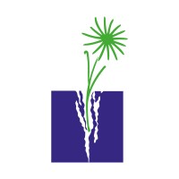 Domus Assistenza società cooperativa sociale Logo