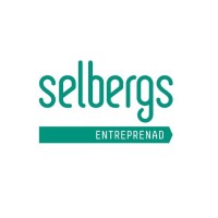 Selbergs Entreprenad Logo