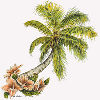Caribbean Trademark Services Logo
