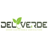 Del Verde Corp Logo