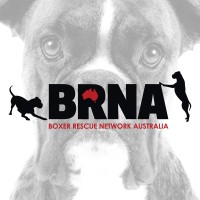 Boxer Rescue Network Australia Logo
